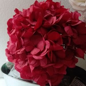 Elegant Red Floral Mixed Media Art Piece